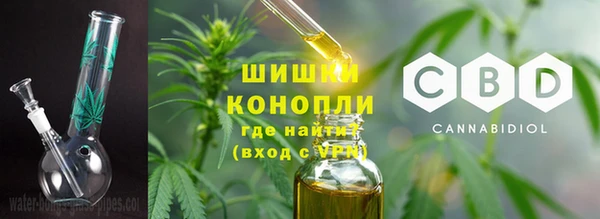 первитин Инта
