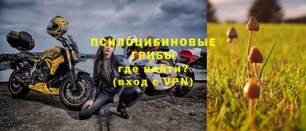 первитин Инта