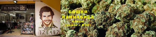 дживик Иннополис