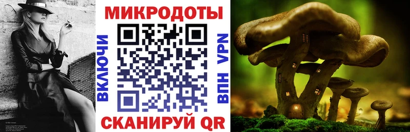 Купить  Трубчевск  Галлюциногенные грибы прущие грибы 
